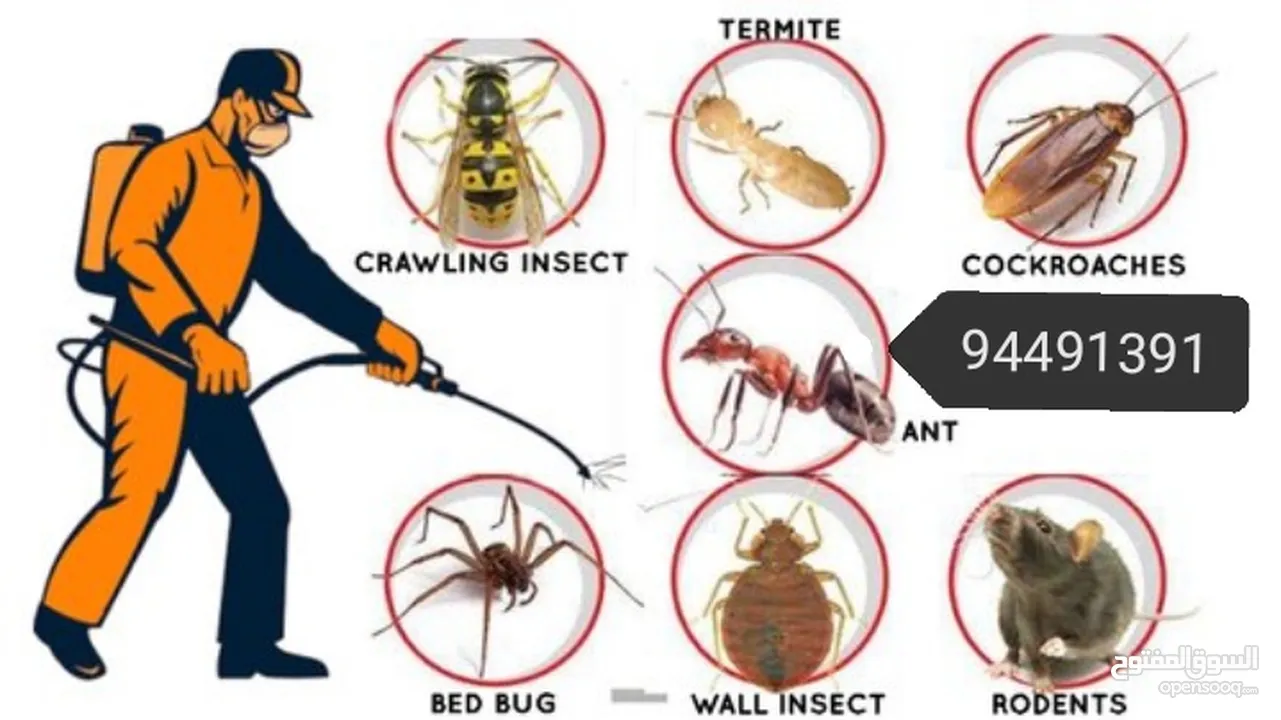 We provide you the best pest control service's & We have professional deep cleaning also