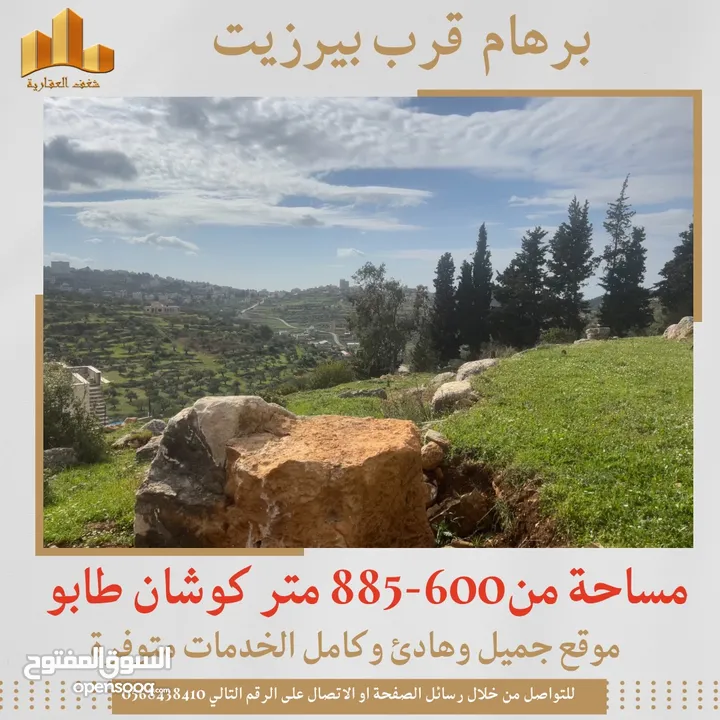 ارض من  بورهام  مساحات من 600 متر