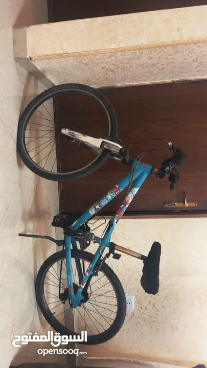 بسكليت ماركة امريكية بسكليت نضيف جنط 24