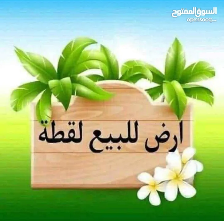 ارض للبيع في منشية بني حسن قوشان مستقل  المساحه 4120 م
