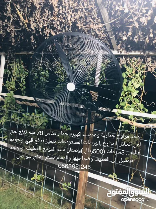 مراوح جداريه وعمودية كبيره 78سم قوتها  260 واط