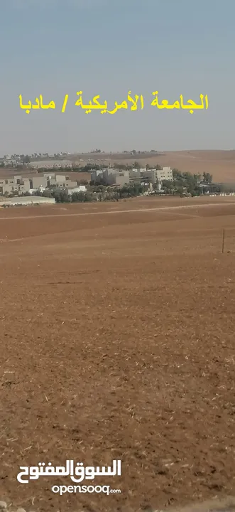 مادبا بجانب الجامعة الامريكيةمباشرة قطعة زراعيةمميزة بسعر 18 الف الدونم وبمساحة 3750متر واصل الخدمات
