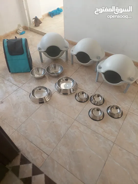 أغراض قطط للبيع في حالة الوكالة