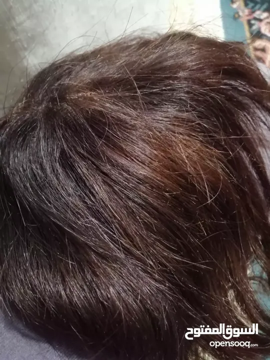 مقدمة شعر  طبيعي ميه بالميه