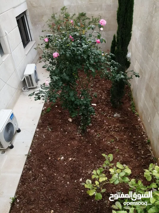 مطلوب شقة من مالك مباشرة كرسي جندويل خلدا على بدل جزء ارضي او اقساط من مالك مباشرة  مع رهن وكفالة