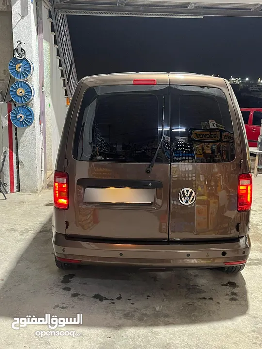 كادي شصي قصير