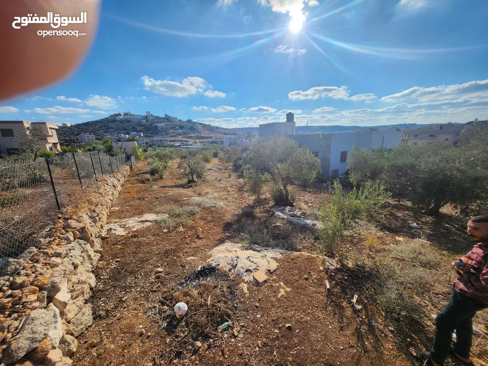 وعرة الشايب/عتيل
