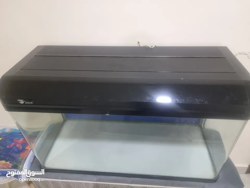 حوض سمك اجنبي
