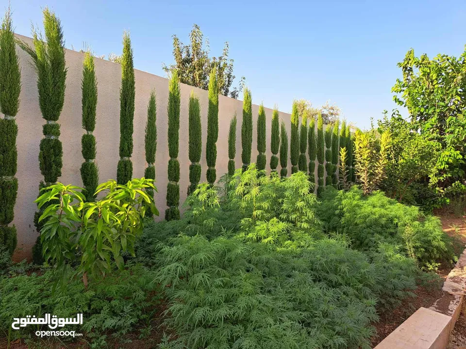 ارض مع عقار للبيع