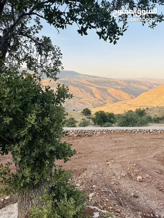 أرض مميزه _الصبيحي _ بيوضه الشماليه