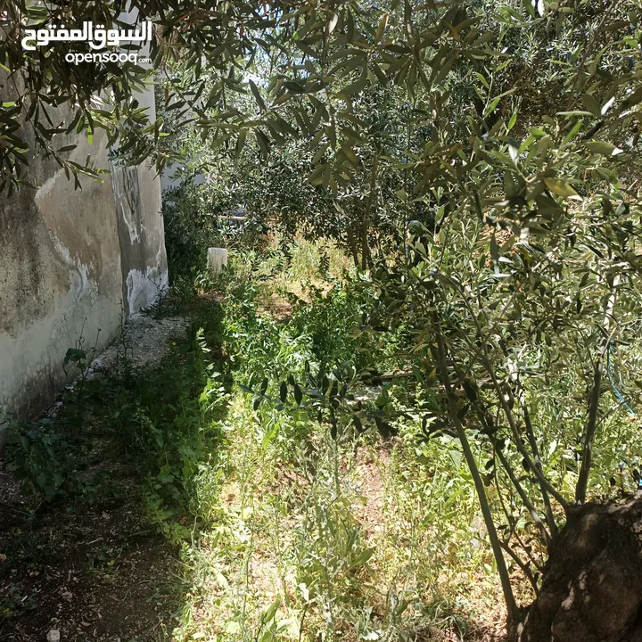بيت طابقين  في ناطفه اقراء الوصف لتفاصيل اكثر كلشي مكتوب بالوصف