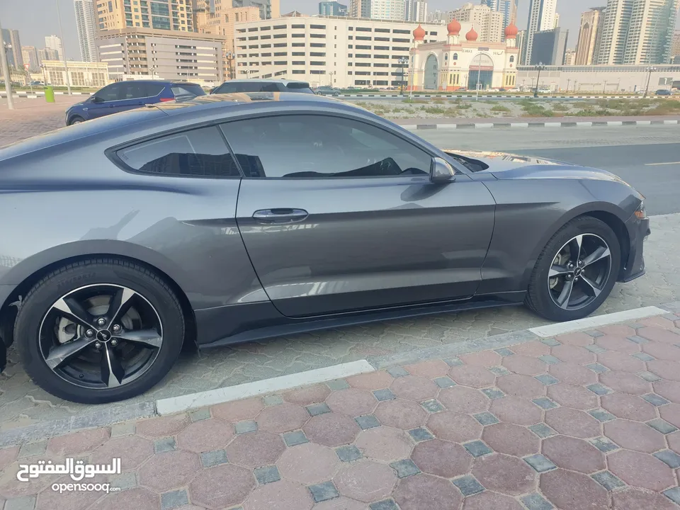 Ford Mustang 2022- Ecoboost