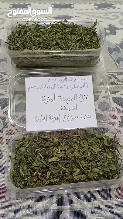 نعناع المدينة المنورة المجفف