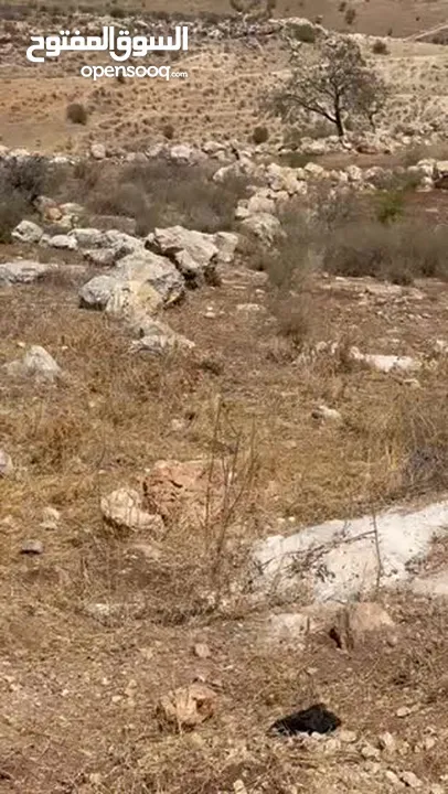 ارض في الباذان تصنيف A طابو عصيره الشماليه