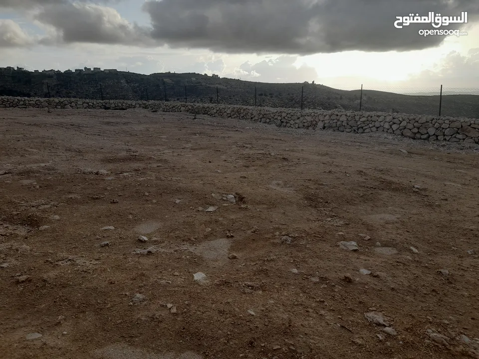 1800م ارض في خرسة دورا الخليل