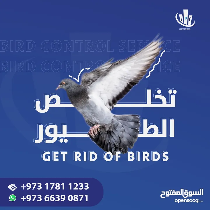 IPC Is Providing 24/7 Pest Control Service in Bahrain - Contact Now!
