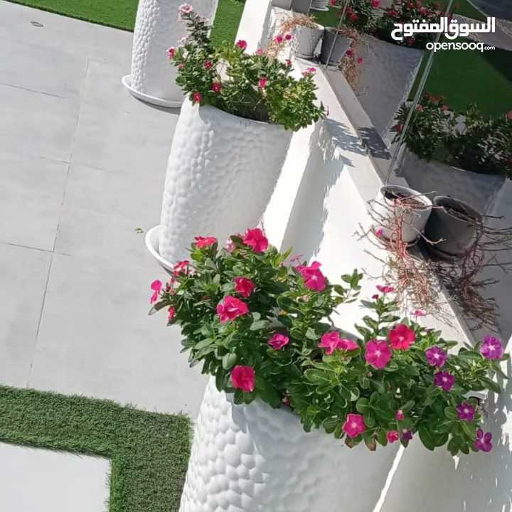 خدمات تصميم وتنسيق وصيانة الحدائق باحترافية  Professional garden design, coordination and maintenanc