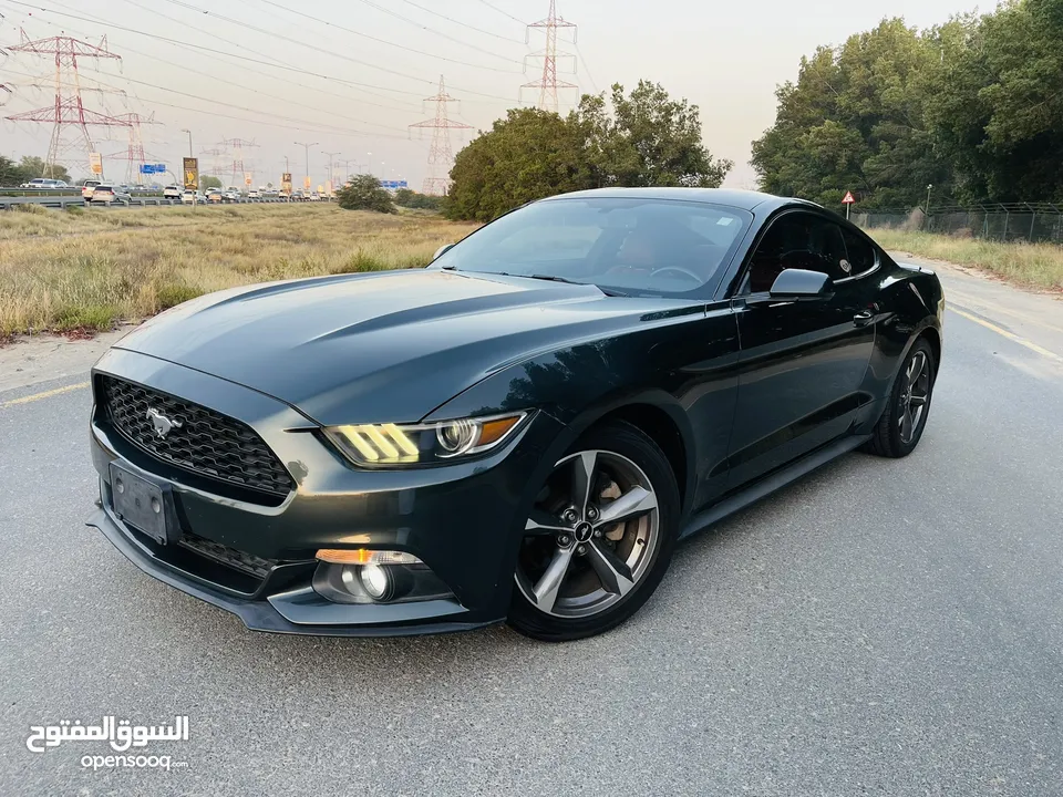 Mustang, 2016 American model, a very clean car with a large screen