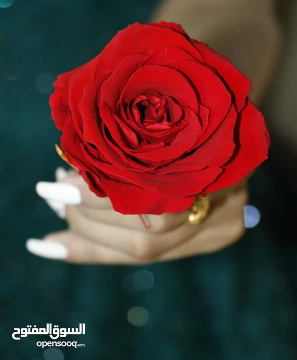 كاميرات تصوير حفلات