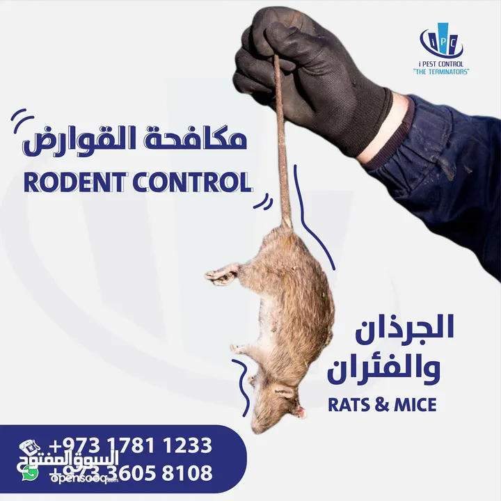 IPC Is Providing 24/7 Pest Control Service in Bahrain - Contact Now!