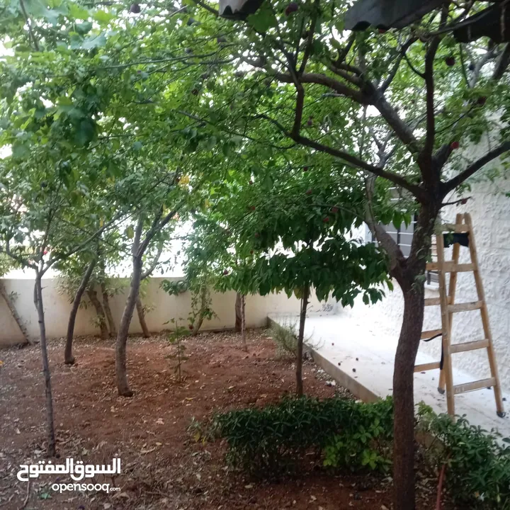 خلدا ـ شقه ارضيه فارغه للايجار ـ 200 متر داخلي  200 متر خارجي + حديقه مشجره - كراج خاص