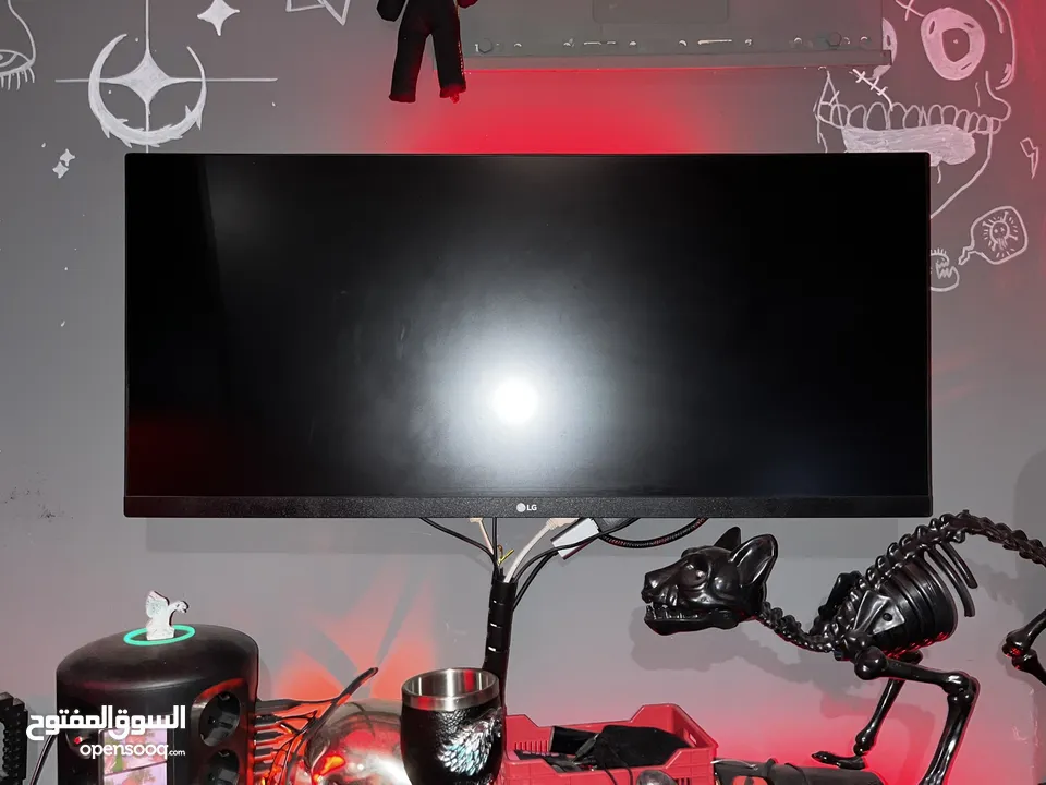 Full pc setup