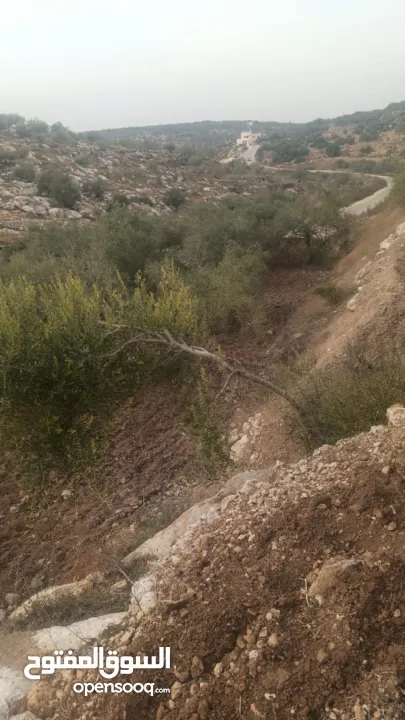 ارض على طريق بلعا دير الغصون قبل مفرق اكتابا