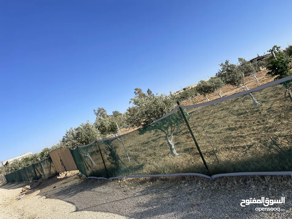 ارض زراعيه مجهزه بل كامل تبعد عن شارع المطار 6 كيلو تبعد عن وسط مادبا4ك