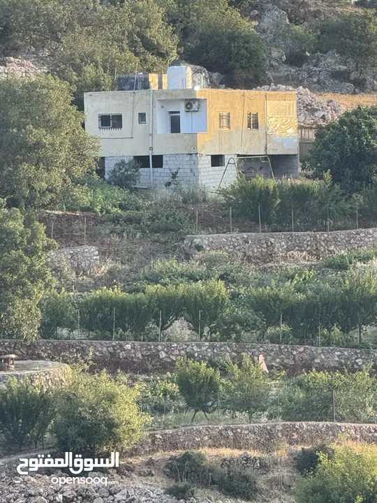 مزرعه للبيع / عجلون / رأس منيف