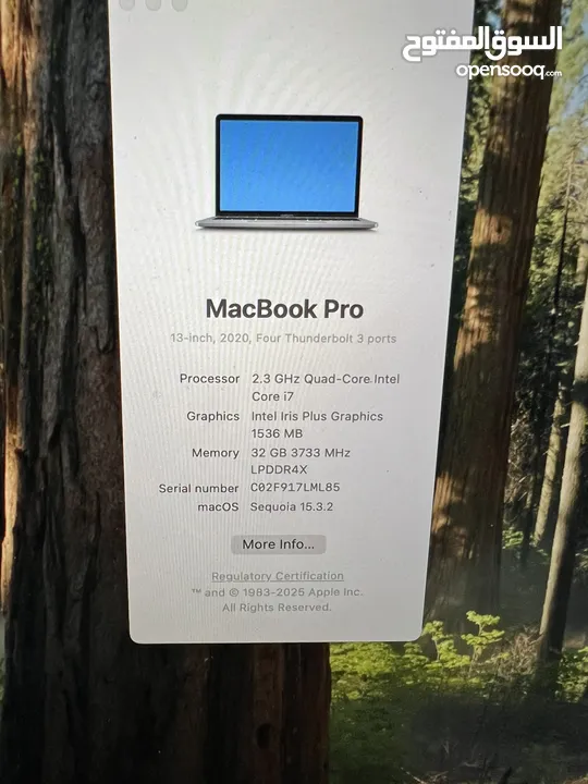 MacBook Pro (2020)  i7  32GB RAM  500GB SSD