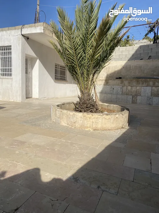 بيت مع الارض جاهز للسكن طابو B سعر مناسب من مالك مباشر  بين أبو نجيم واد  رحال موقع هادي السكن