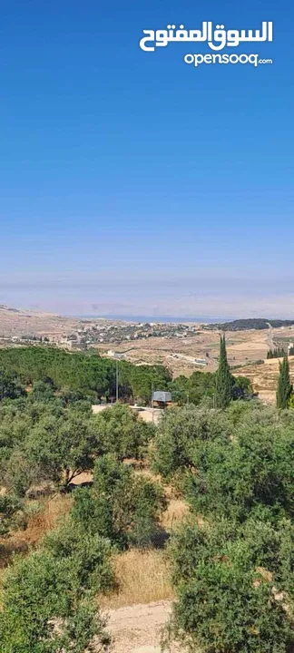قطعة ارض سكنية في ناعور للبيع