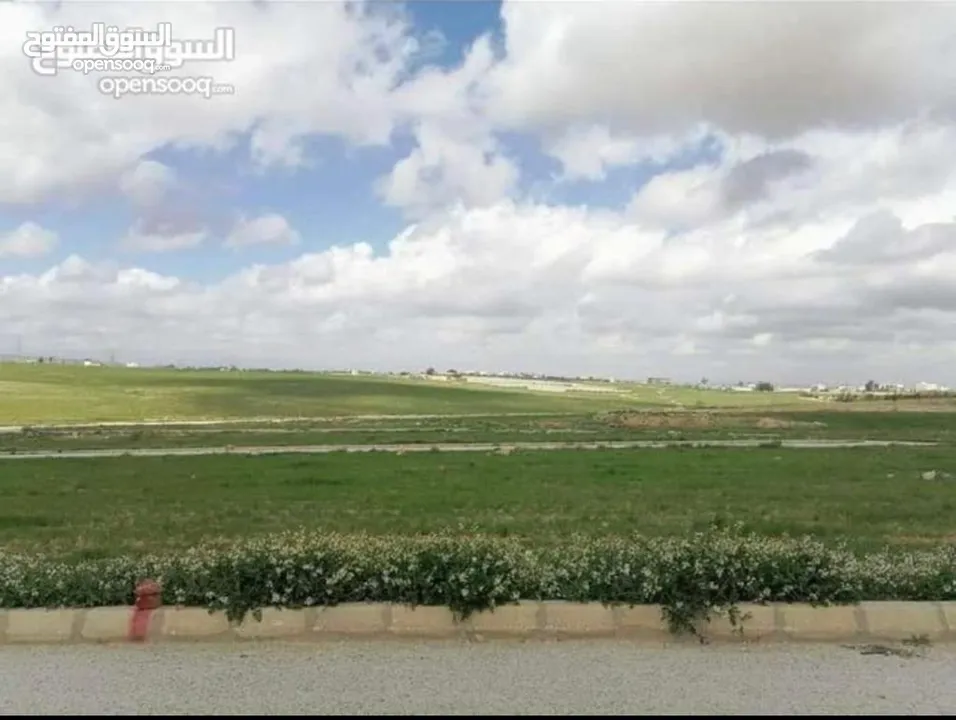 ارض   للبيع في رجم عميش