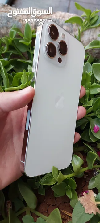 iphone 13 pro max بحال الوكاله