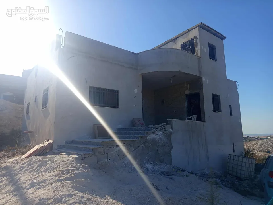 محمد الصبيحي