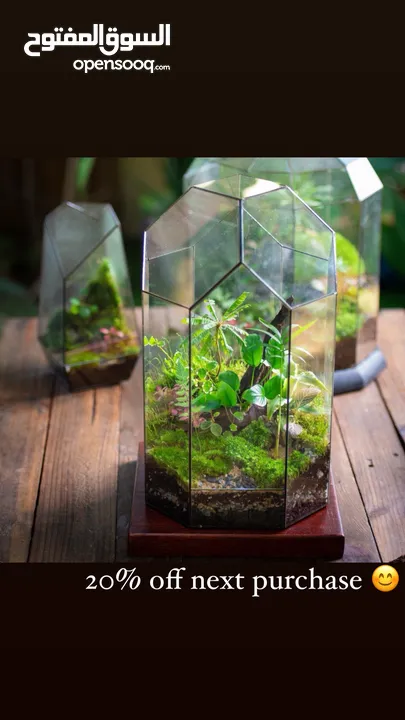 Moss walls for houses and office + Gallery 1 art work