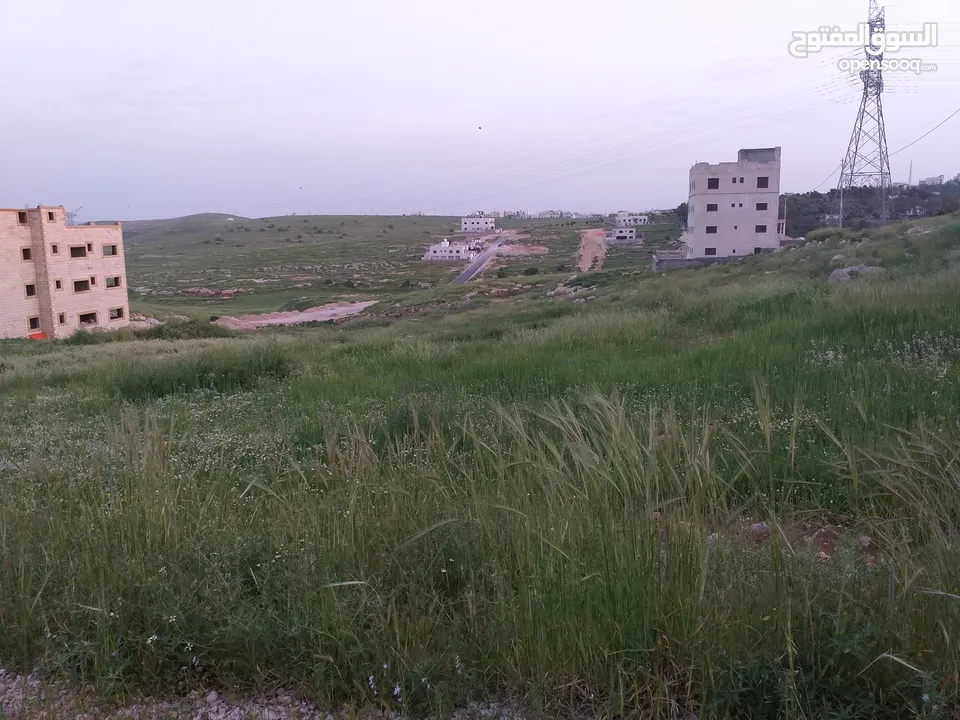 قطعة ارض للبيع حوض المكمان في شفابدران مساحتها 500م
