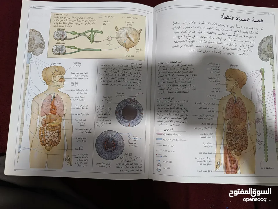 كتاب تشريحي عن موسوعة جسم الانسان الشاملة