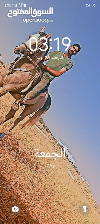 خيل عربي اصيل مسجل