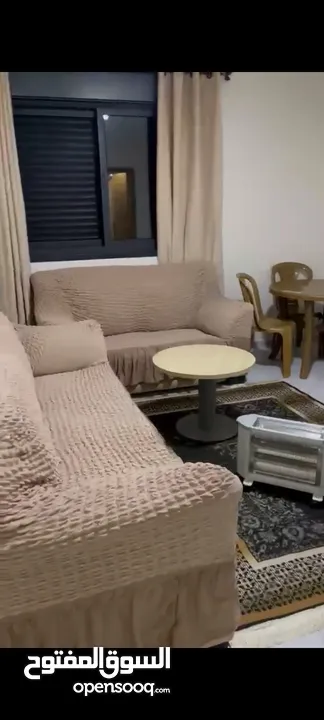 استديو مفروش جديد لم يسكن بعد - فقط شباب عدد (2)