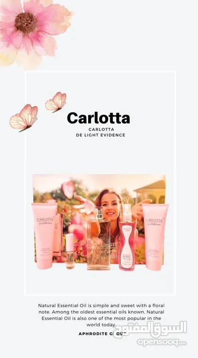 بكجات عطور CARLOTTA الأصلي بسعر *14* د