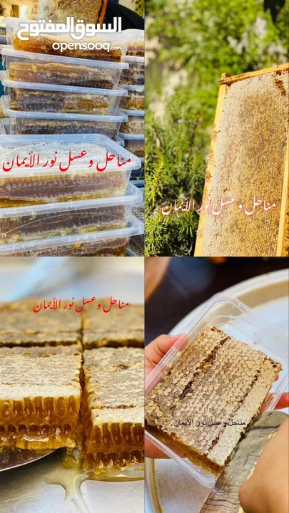 عسل طبيعي من أراضي اربد