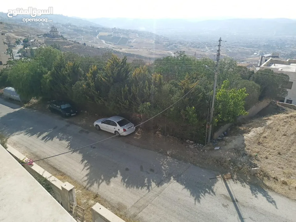 ارض مميزه للبيع خلف قصر الاميره بسمه