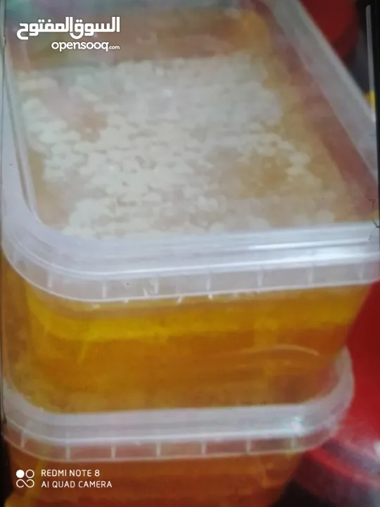 عسل فلسطين الجبلي