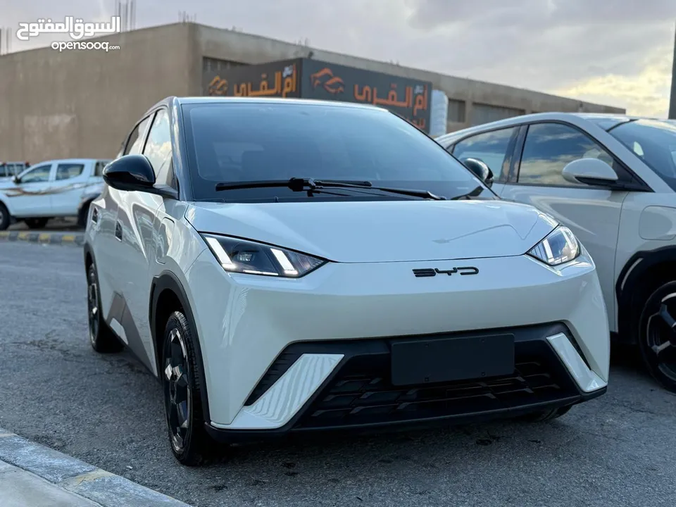 بس واي دي سيجول 305k 2023
