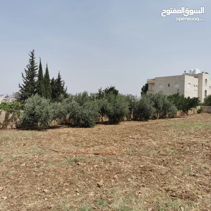 قطعة أرض للبيع