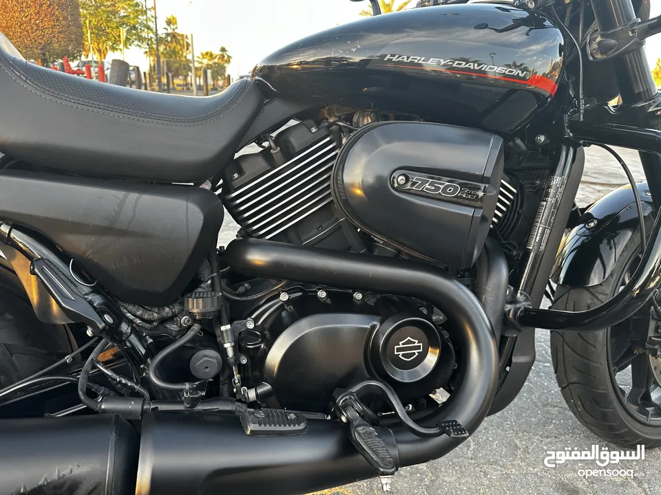 2019 Harley Davidson Street Rod 750