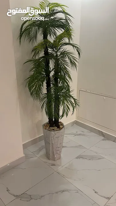 متفرقات ايكيا