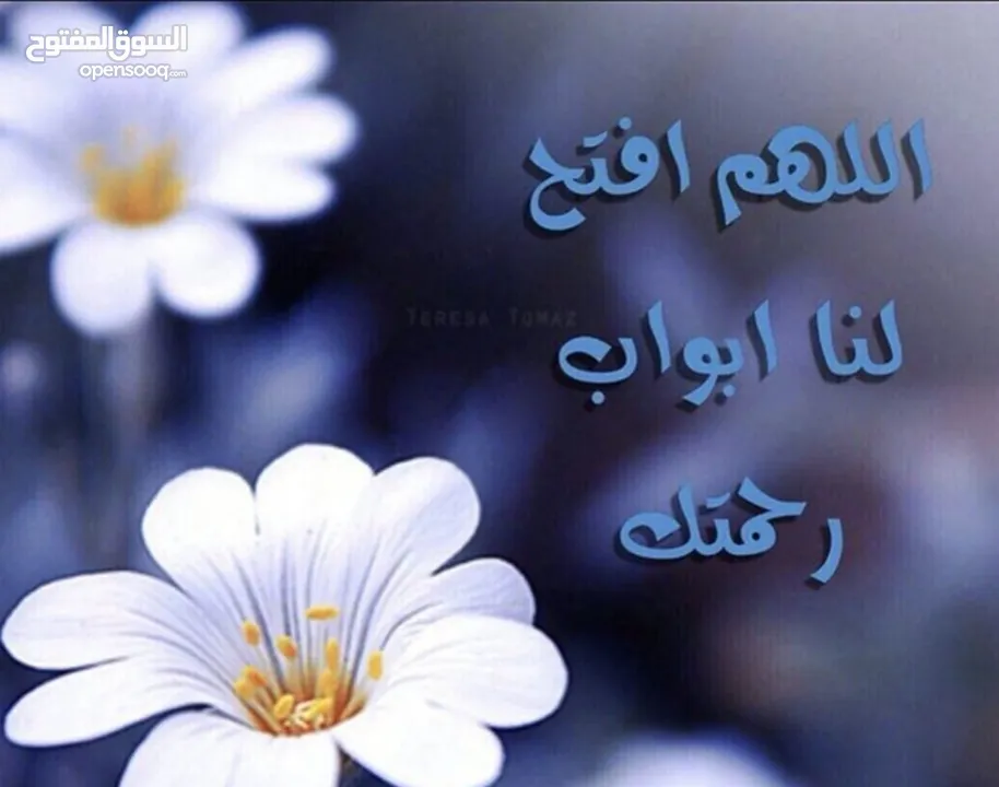 شقة للايجار/ماركا الشمالية