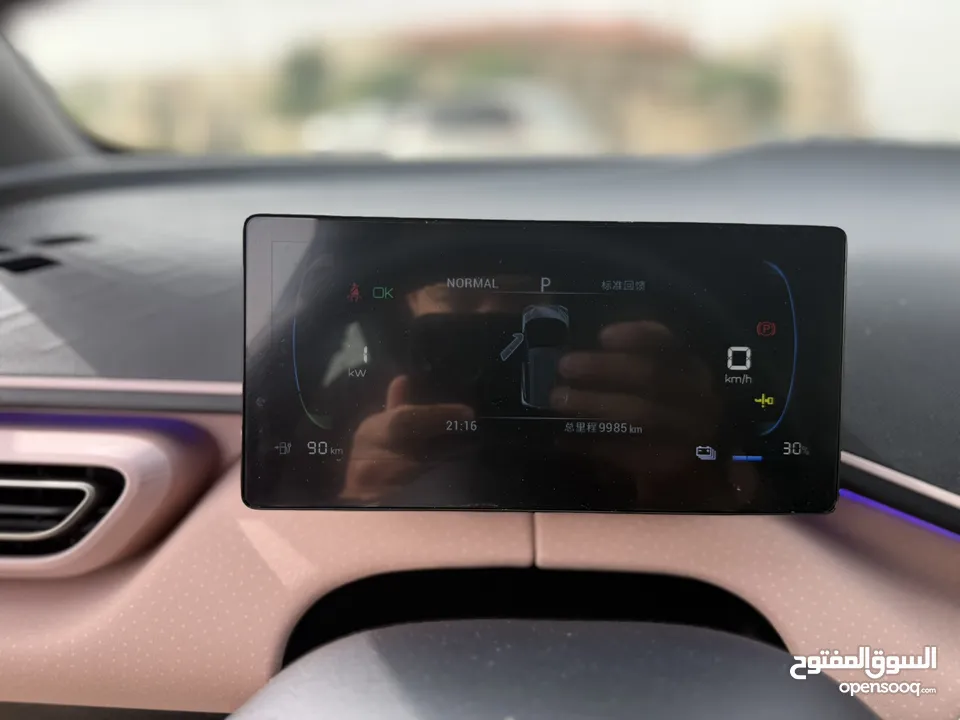 BYD SEAGULL 2023 305  اقساط بدفعه 1700 دينار شامل المصاريف لونين بيج وفسفوري فحص كامل  كفوله سنتين